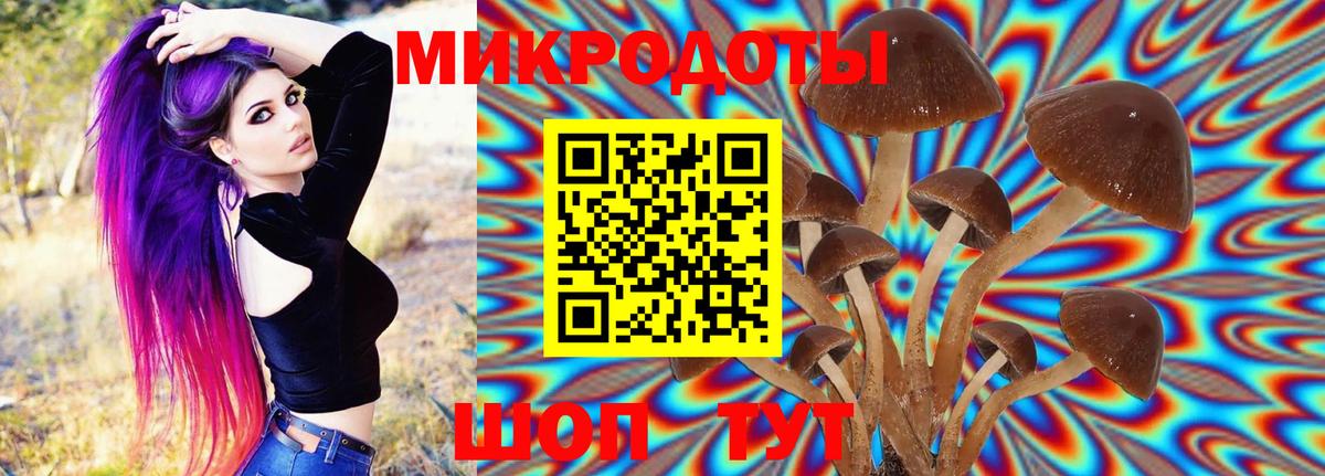 Курск  Псилоцибиновые грибы мухоморы  Вход с VPN 